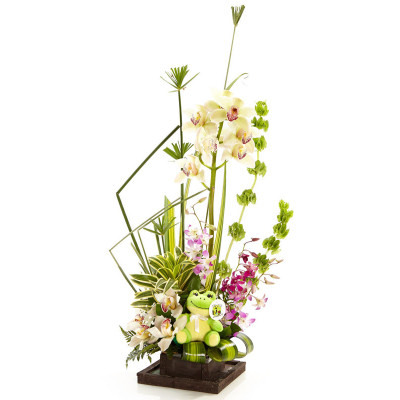 Orquídeas con Peluche - Diseño Lunático Orquídeas con Peluche - Diseño Lunático