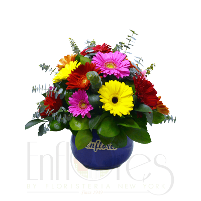 Bombonera de Gerberas Happy Bombonera de Gerberas Happy
