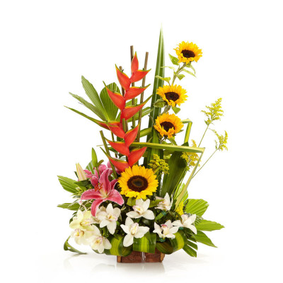 Fusión de Girasoles, Orquídeas y Flores Exóticas - Diseño Admiración Fusión de Girasoles, Orquídeas y Flores Exóticas - Diseño Admiración