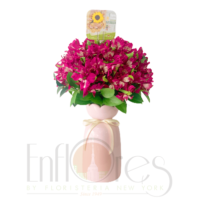 Florero Astromelias Enflores Florero Astromelias Enflores