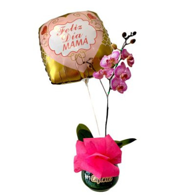 Orquidea para Mamá Orquidea para Mamá