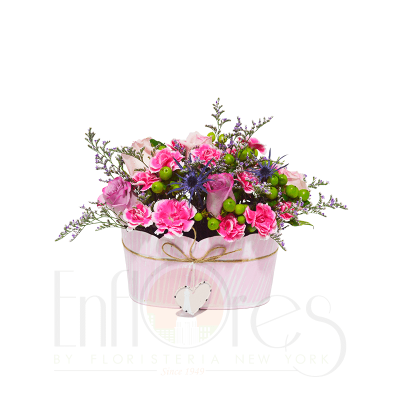 Laton Enflores Tropicales Laton Enflores Tropicales