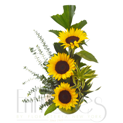 Girasoles en Bombonera Girasoles en Bombonera