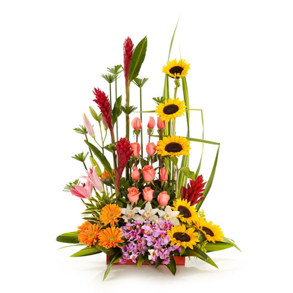 Arreglo Exótico con Variedad de Flores - Edición Talento