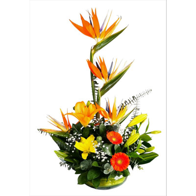 Arreglo de Aves Lirios y Gerberas Arreglo de Aves Lirios y Gerberas