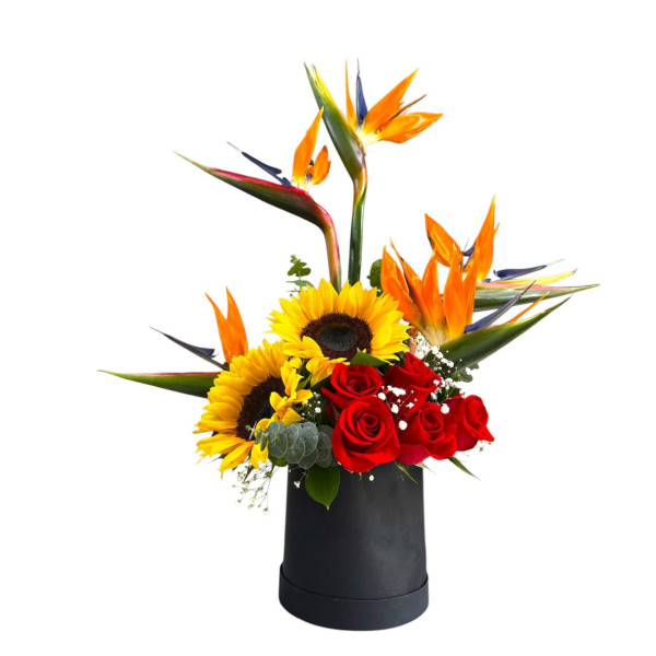 Caja redonda exotica con aves Girasoles y rosas