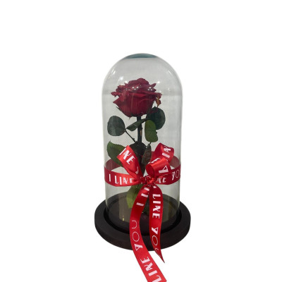 Rosa Eterna en Cúpula – Color Rojo Rosa Eterna en Cúpula – Color Rojo