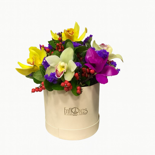 Caja  de Orquideas Cymbidium