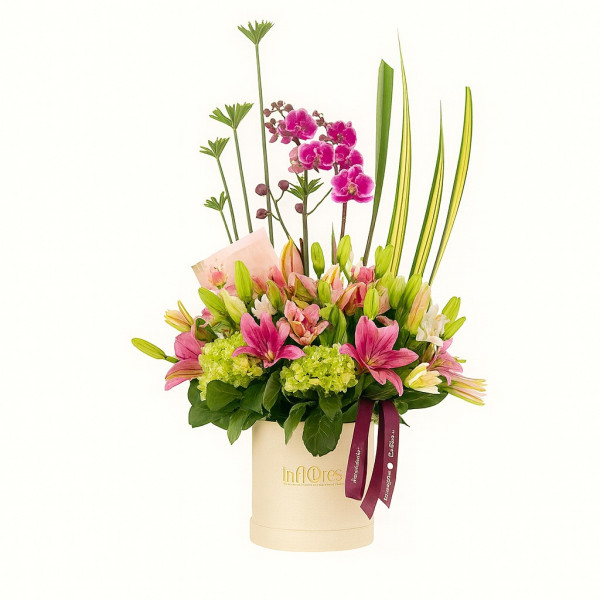 Caja Redonda con Flores Surtidas y una Planta de Orquidea