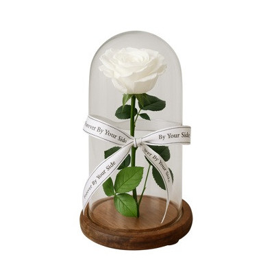 rosa preservada blanca  en cupula