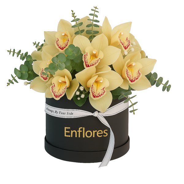 Caja Negra de Orquídeas cymbidium