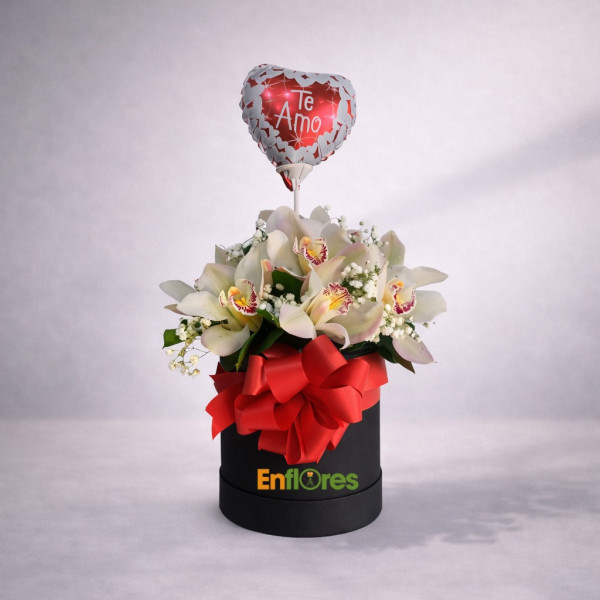 Caja redonda con Orquídeas Cymbidium y globo