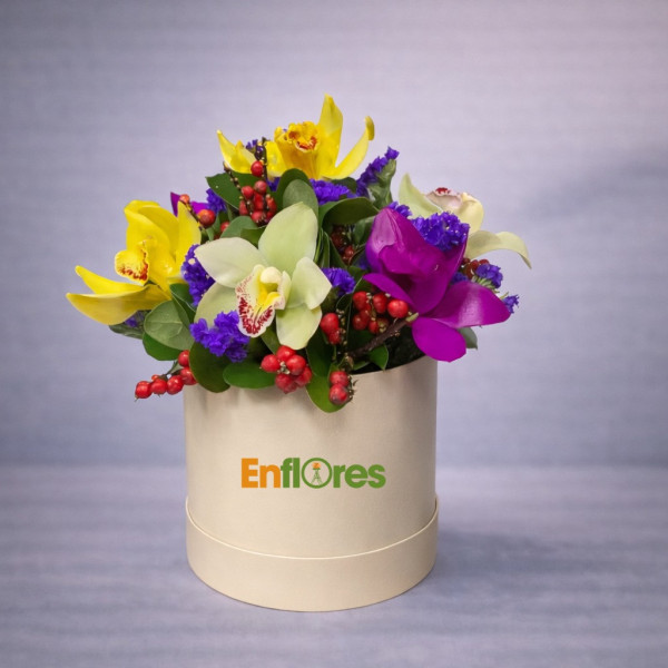 Caja  de Orquideas Cymbidium