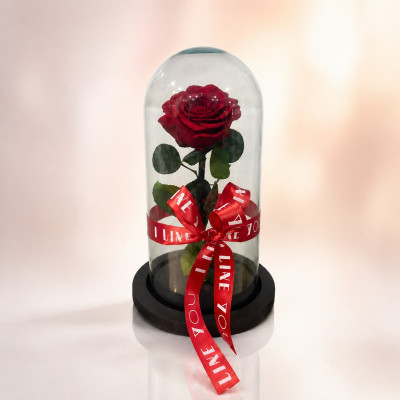 Rosa Preservada en Cúpula – Color Rojo | Enflores