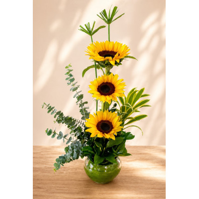 Girasoles en Bombonera | Enflores
