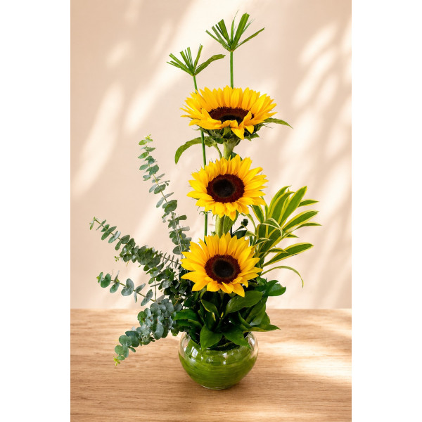 Girasoles en Bombonera