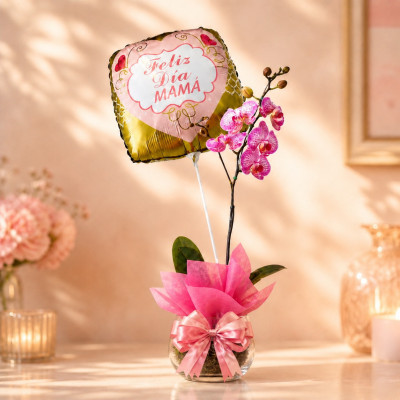 Orquidea para Mamá | Enflores