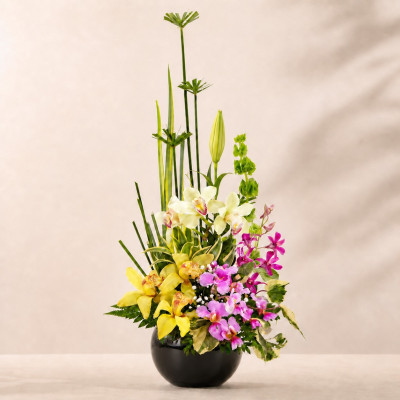 Bombonera con Orquídeas Cymbidium y Hawaianas | Enflores