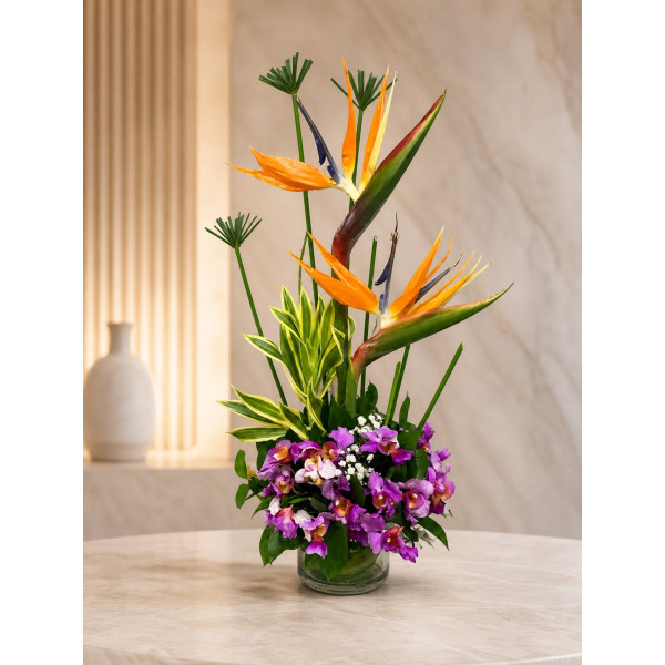 Bombonera de Aves y Orquídeas