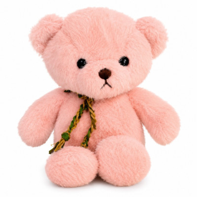 Oso de Peluche | Enflores