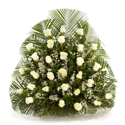 Arreglo en Abanico con Rosas Blancas | Enflores Arreglo en Abanico con Rosas Blancas | Enflores