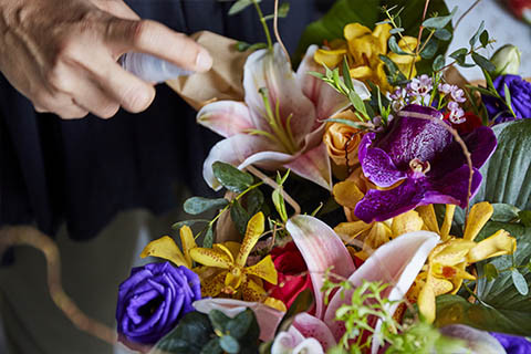 Cómo cuidar tus flores: Consejos de Enflores para que duren más en Bogotá