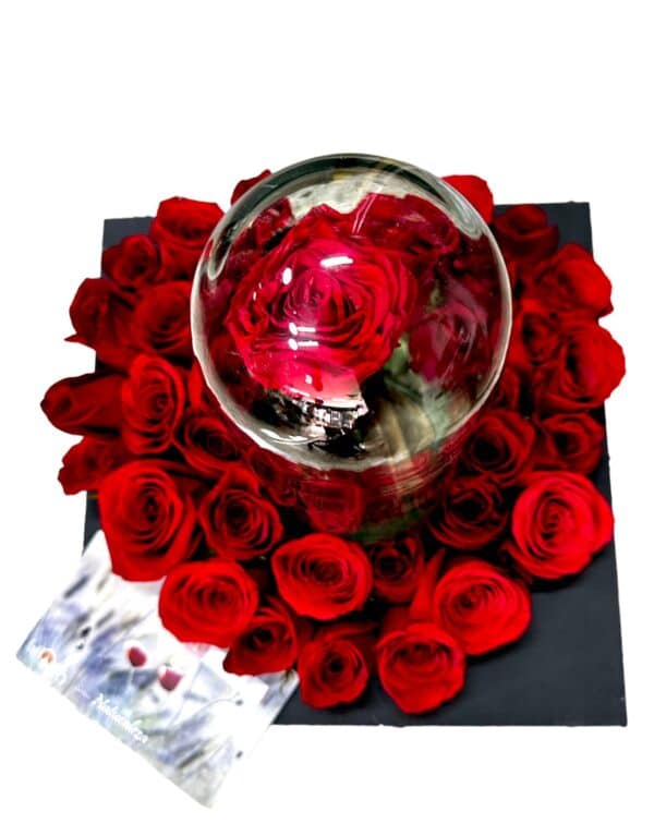 Rosas Rojas enflores + Preservada Roja